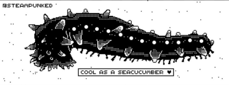 Cool as a Seacucumber